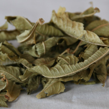 Lemon Verbena Tea