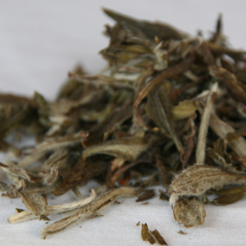 Snowbud Tea